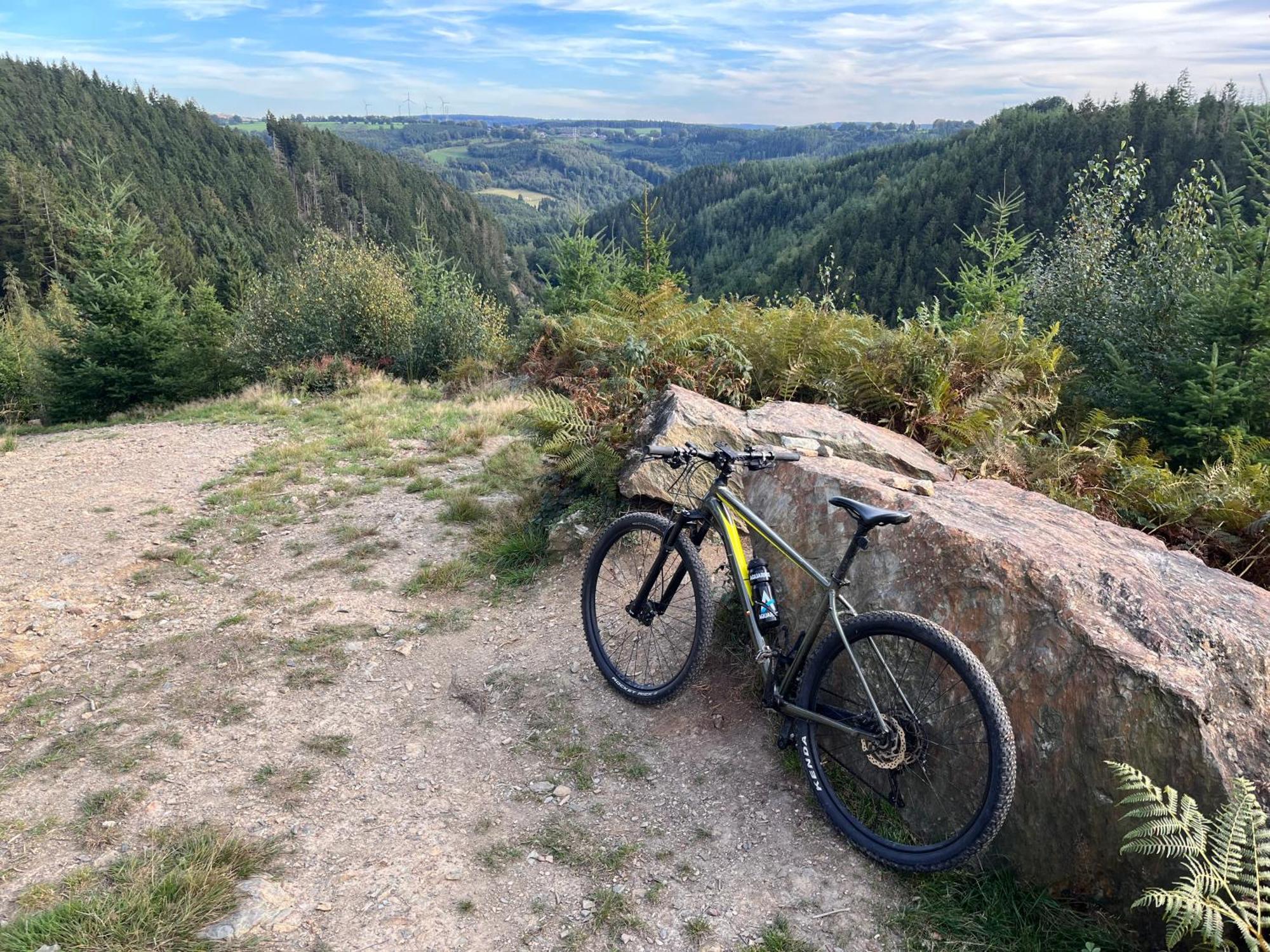 Le Dragon - Gite Accueillant Malmedy Exteriör bild