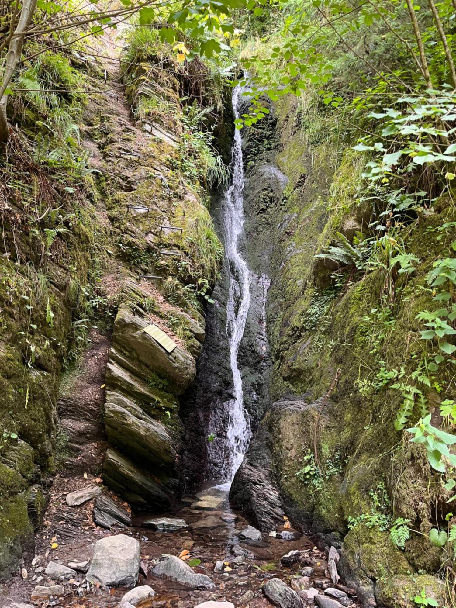 Le Dragon - Gite Accueillant Malmedy Exteriör bild
