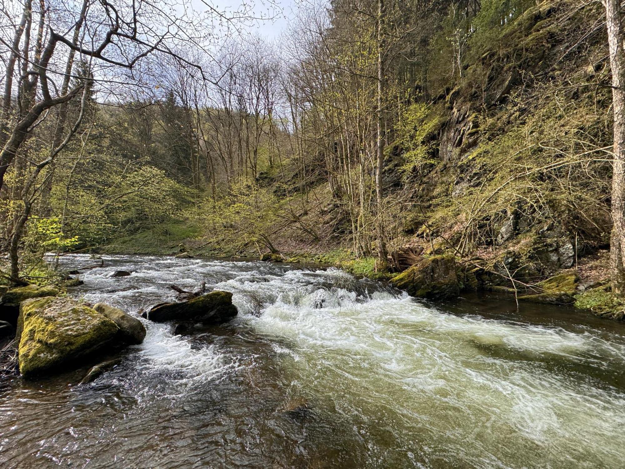 Le Dragon - Gite Accueillant Malmedy Exteriör bild