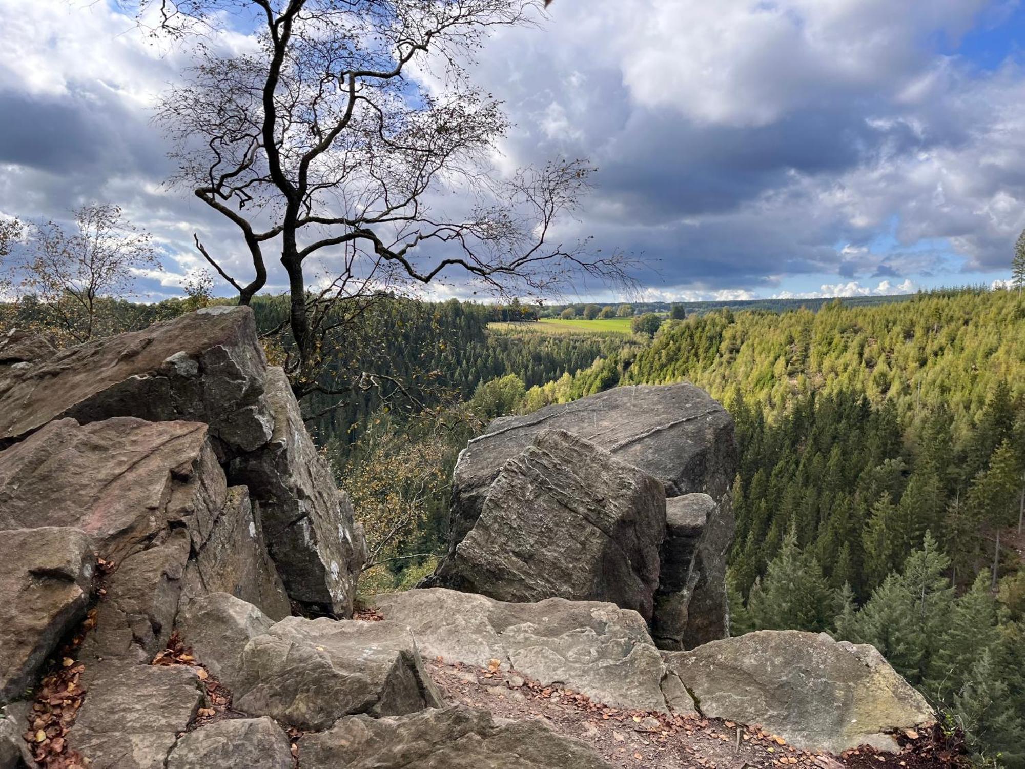 Le Dragon - Gite Accueillant Malmedy Exteriör bild