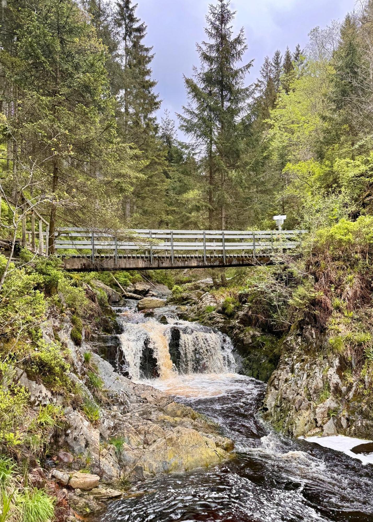 Le Dragon - Gite Accueillant Malmedy Exteriör bild