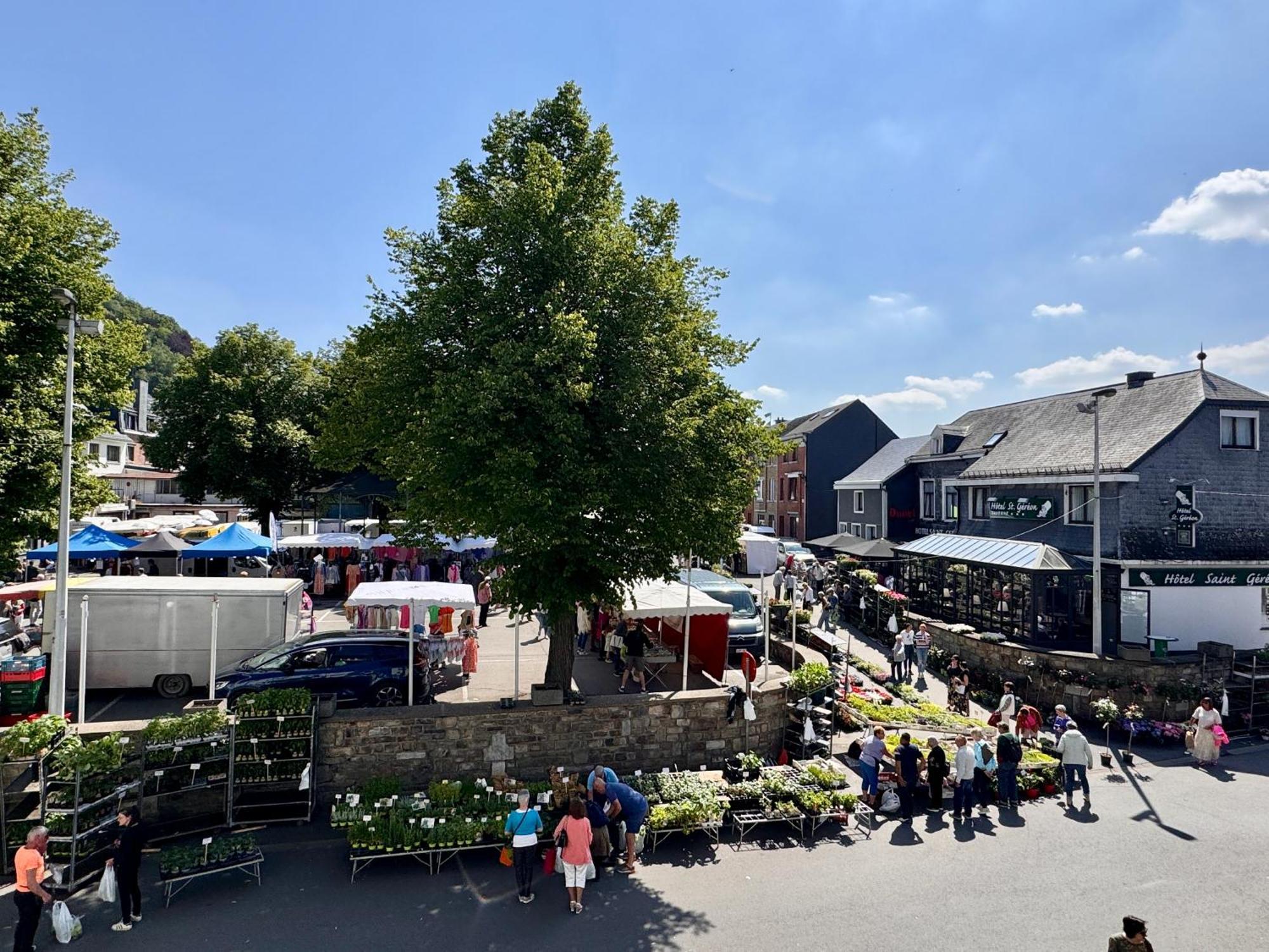 Le Dragon - Gite Accueillant Malmedy Exteriör bild