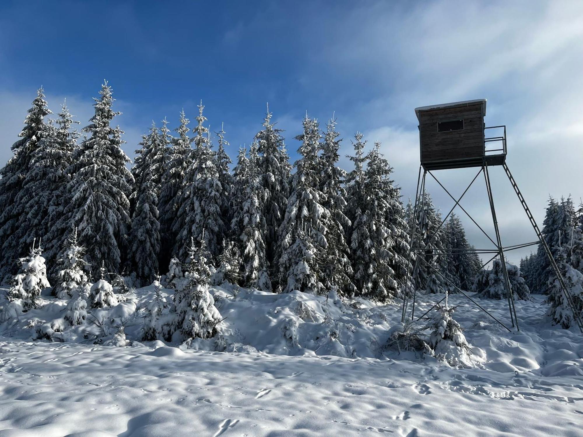 Le Dragon - Gite Accueillant Malmedy Exteriör bild