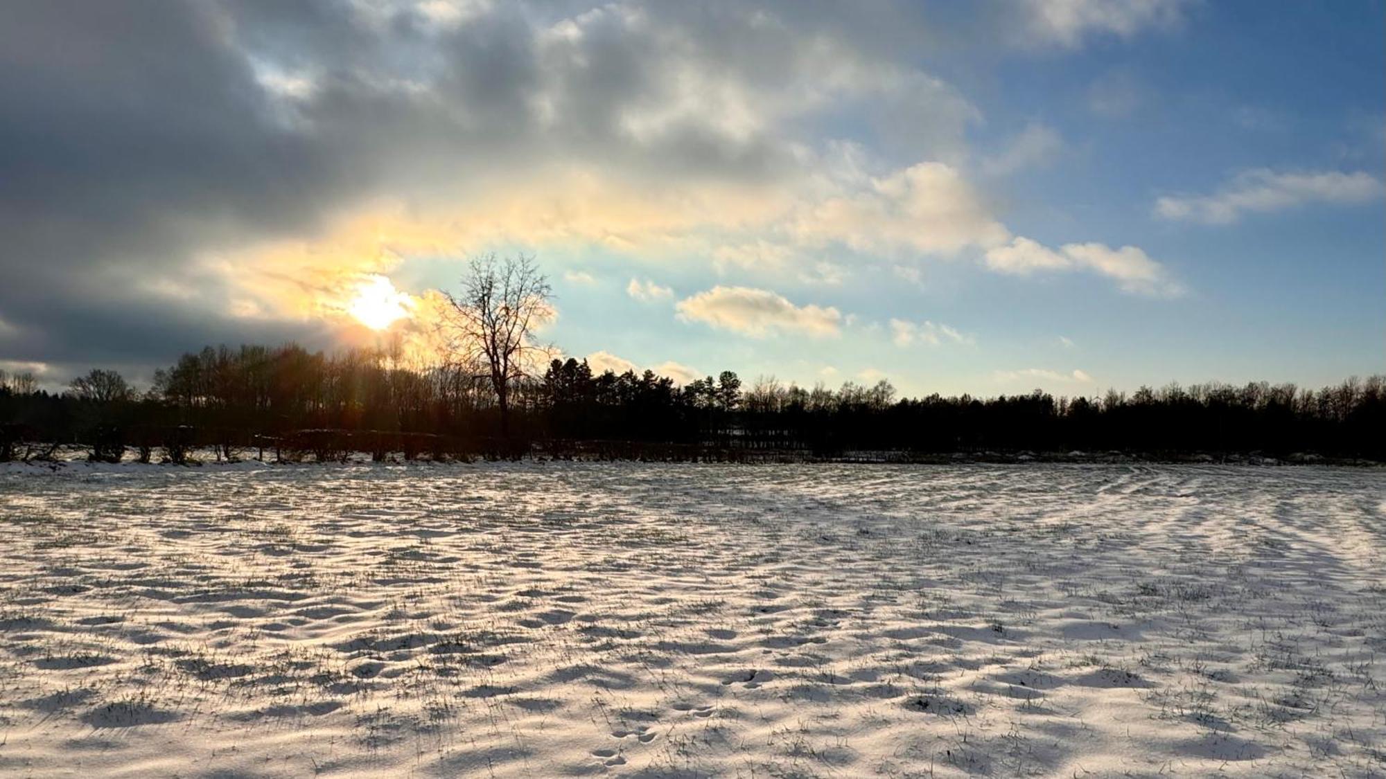 Le Dragon - Gite Accueillant Malmedy Exteriör bild